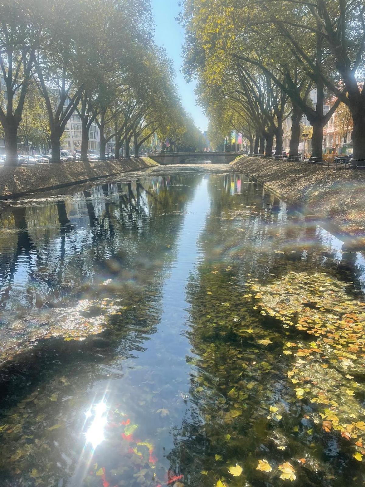 Luxus Wohnen Am Rhein Nah Der Messe
